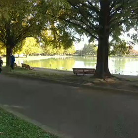 県駅伝選考会 好記録(女子)の画像