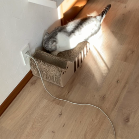 9月スケジュール。の画像