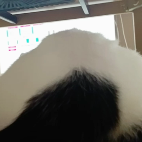 本格始動の画像