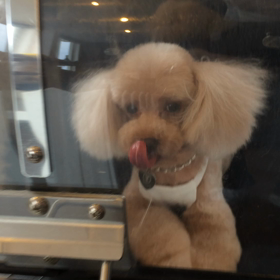 ⬛️8/16〜8/22＊酸素カプセルご利用のお友達⬛️の画像