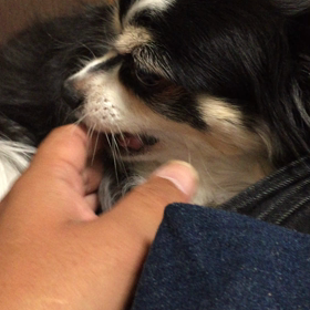 すずと遊。の画像