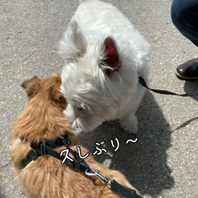 うみくんと大濠公園への画像