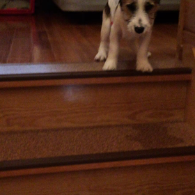 降りれないの画像