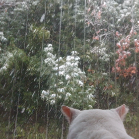 もう3日〜〜〜の画像