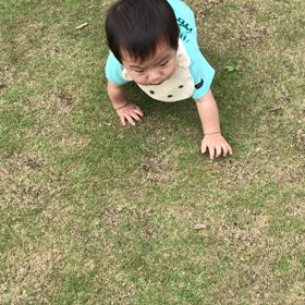 初めての芝生の画像