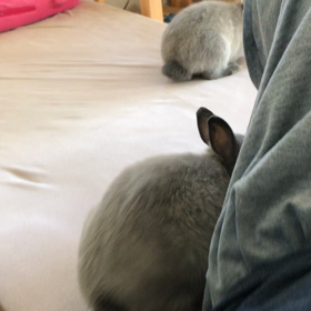 気分が落ちてる時は…の画像