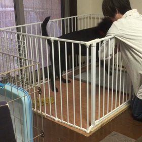 魔法の言葉の画像