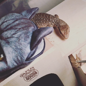 キートのご飯の画像