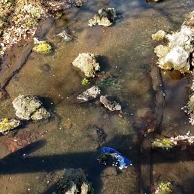 怒ったら負けの画像