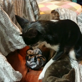 リノリリのルーティンの画像