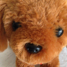 まるで生きてるみたい♥︎の画像