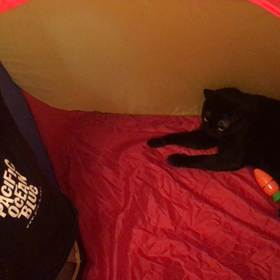 お付き合い感謝。の画像