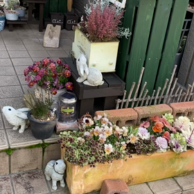 春の RBガーデンの画像