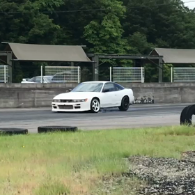 今日のグリドリ▶️の画像