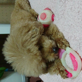 【まったりムードに浸ってます】の画像