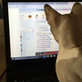 パソコンの画像