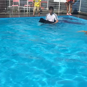 はじめての・・・の画像