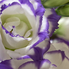 7/12の気になるMovieの画像