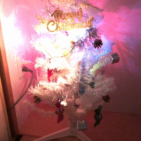 一年前のメリクリからの画像