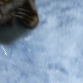 控えめな成くんの画像