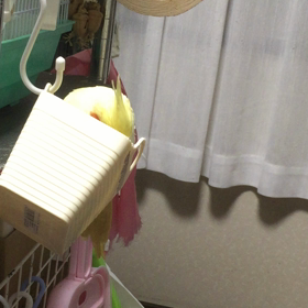 空気さんがの画像