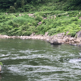 Я люблю ходить вдвоёмの画像