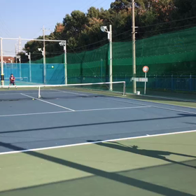 プロ選手のラリーの画像