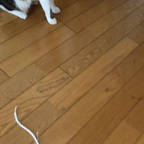 今日から8月！ガーデニング部、ずっこけデール！の画像