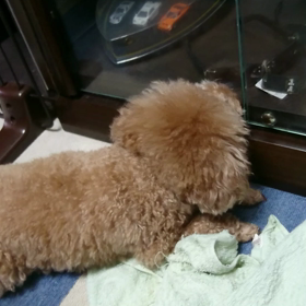 おいしい？の画像