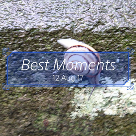 自然がぁ～( ￣▽￣)の画像