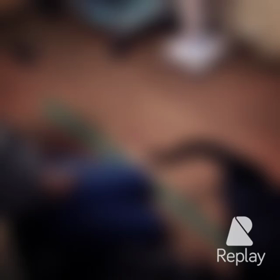 【動画】にゃんトレ3回目の画像