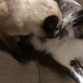 目標達成の画像