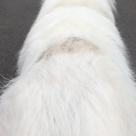 ちょっとドライブに(^○^)の画像