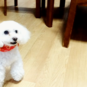 元気みなぎるパワーをもらうの画像