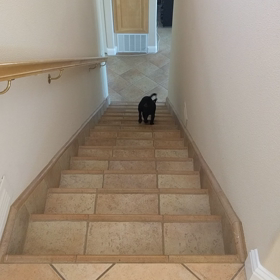 知らない間に ２の画像