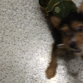 楽しい？の画像