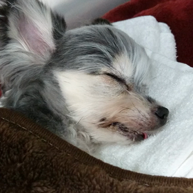 心愛さん、ガンバってます。の画像