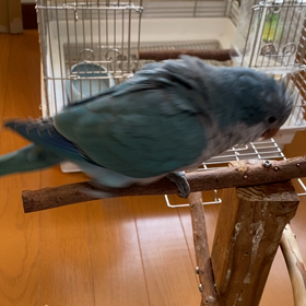 要求が増えてない？の画像