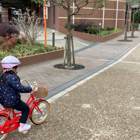 自転車その後の画像