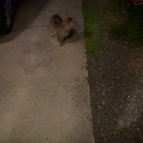 春の風物詩とはいえ…の画像