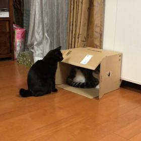 くっちゃんとの攻防の画像