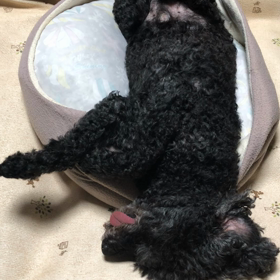 だってと言う人は自分は悪くないと思っているの画像