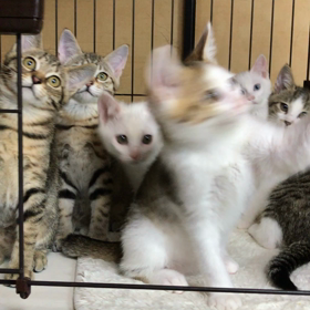 沢山遊んで居ますの画像