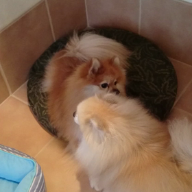 ねえさんこわいです〜の画像