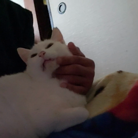 今年最後の("⌒∇⌒")の画像