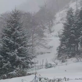 知床・羅臼の画像