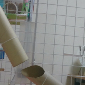 コミュニケーションの画像