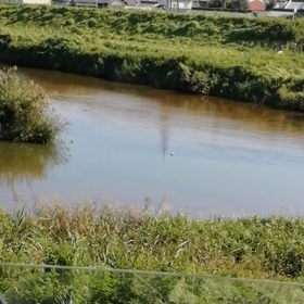 川の流れの画像