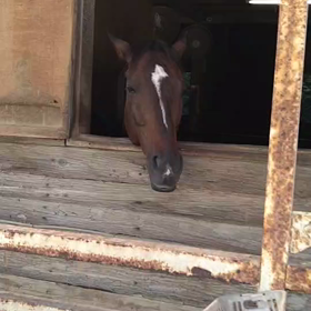 ウトウトお昼寝の画像