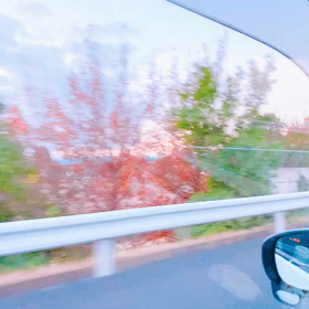 テルちゃんのおかげの画像